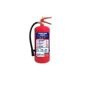man-0000005 mantencion extintor pqs 10 kg